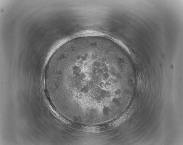 X0000059041413200510100958