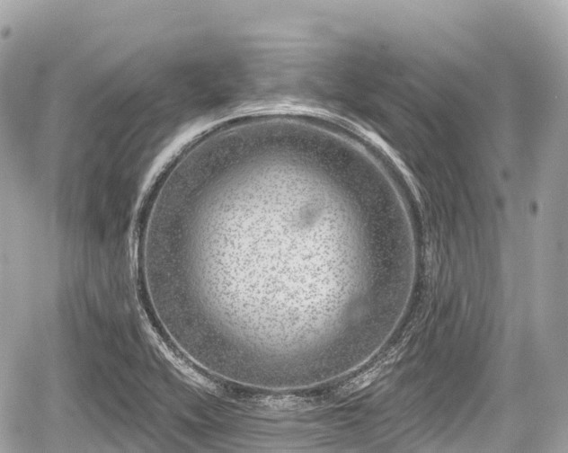 X0000059041416200510100958