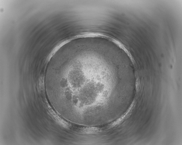 X0000059041417200510100958