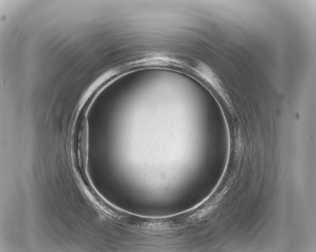 X0000059041418200510100958