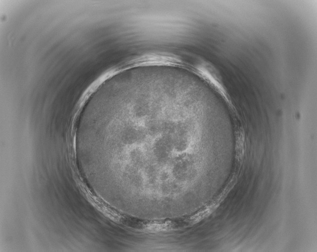 X0000059041419200510100958