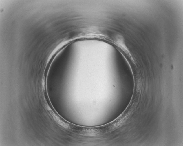 X0000059041420200510100958