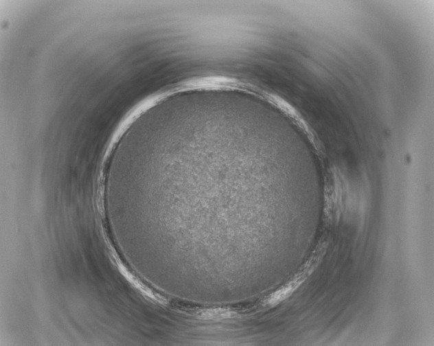 X0000059041421200510100958