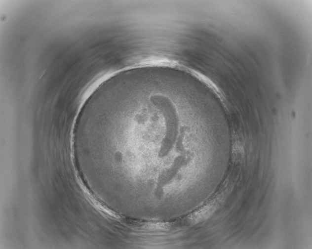 X0000059041423200510100958