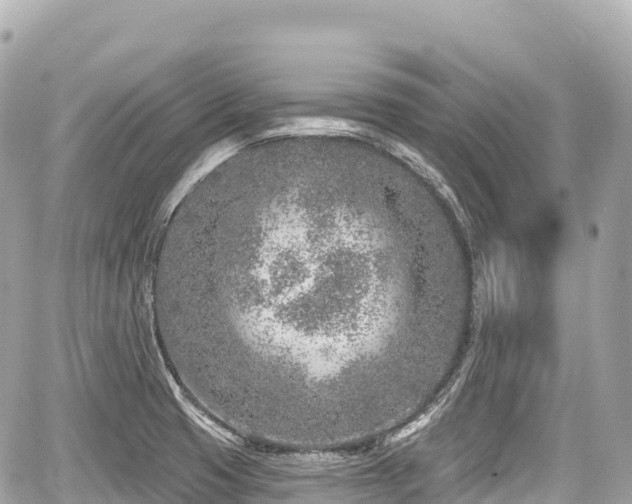 X0000059041425200510100958