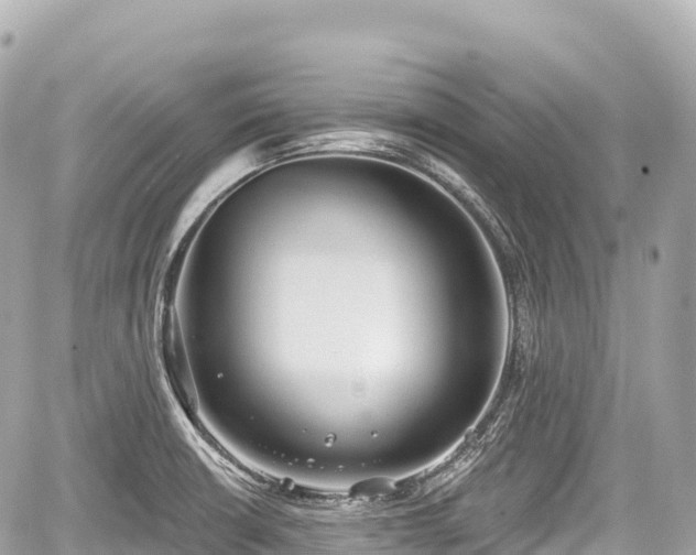 X0000059041426200510100958