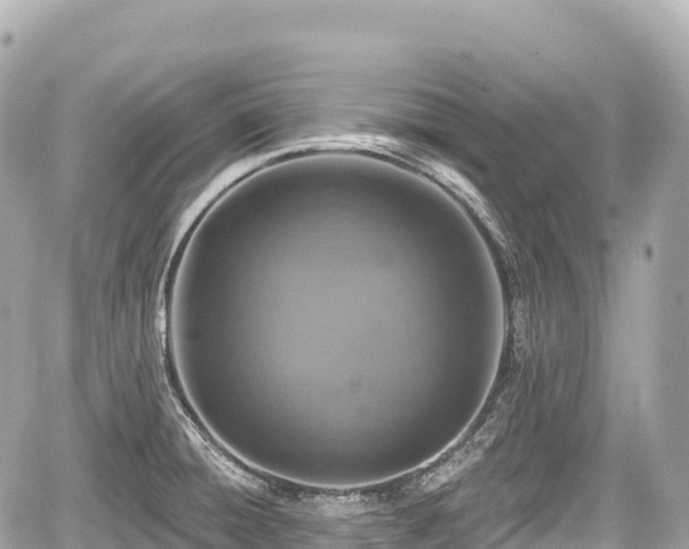 X0000059041428200510100958