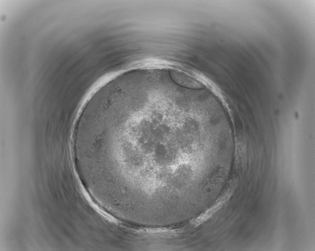 X0000059041429200510100958