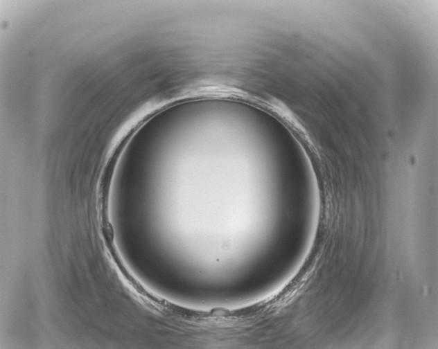 X0000059041430200510100958