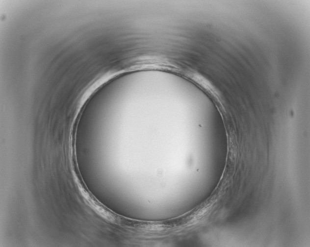 X0000059041431200510100958