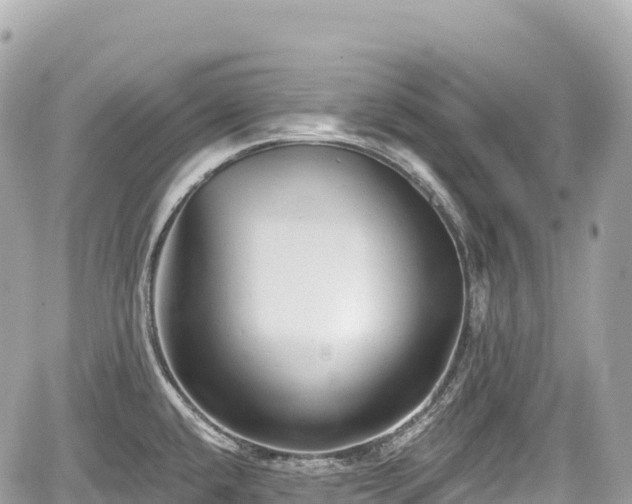 X0000059041432200510100958