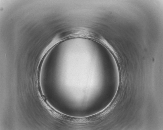 X0000059041434200510100958