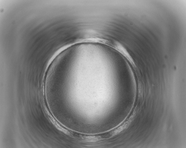 X0000059041436200510100958