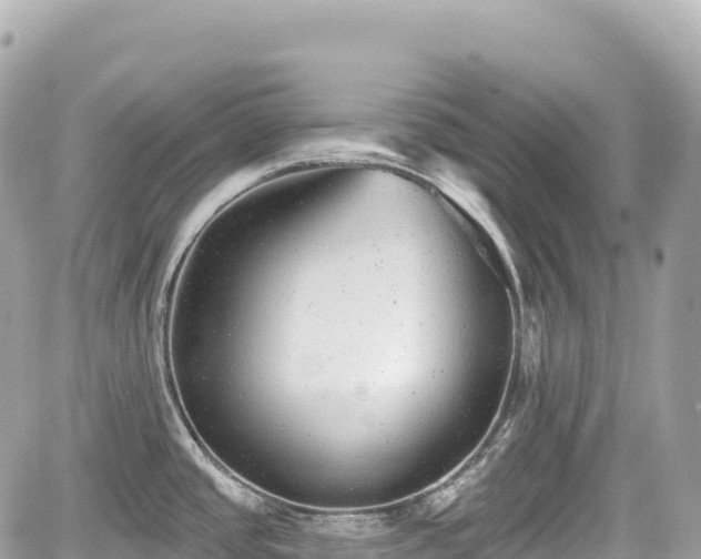 X0000059041437200510100958