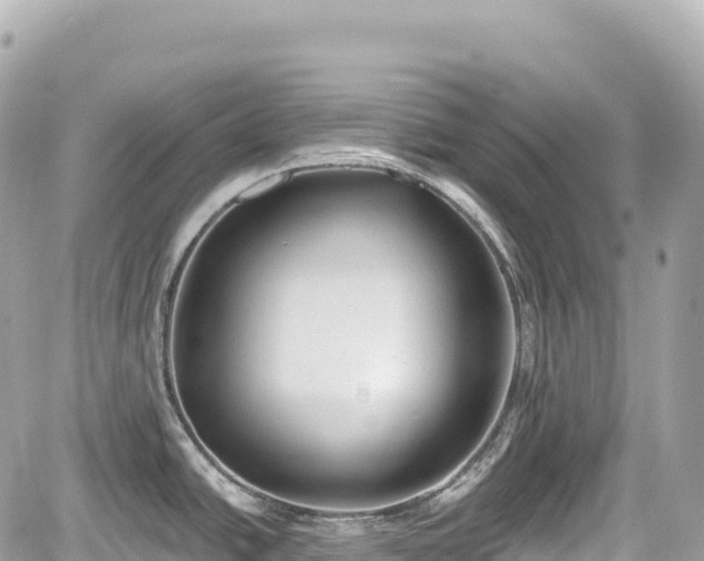 X0000059041438200510100958