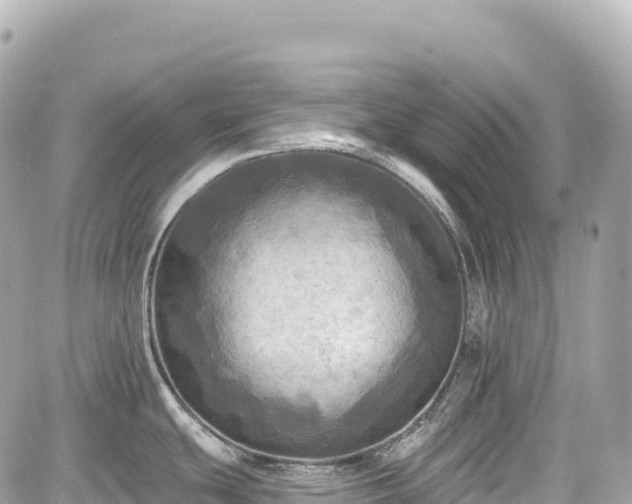 X0000059041439200510100958