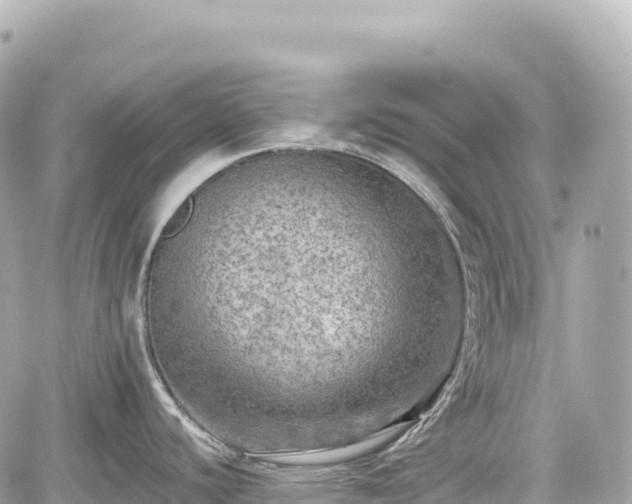 X0000059041440200510100958