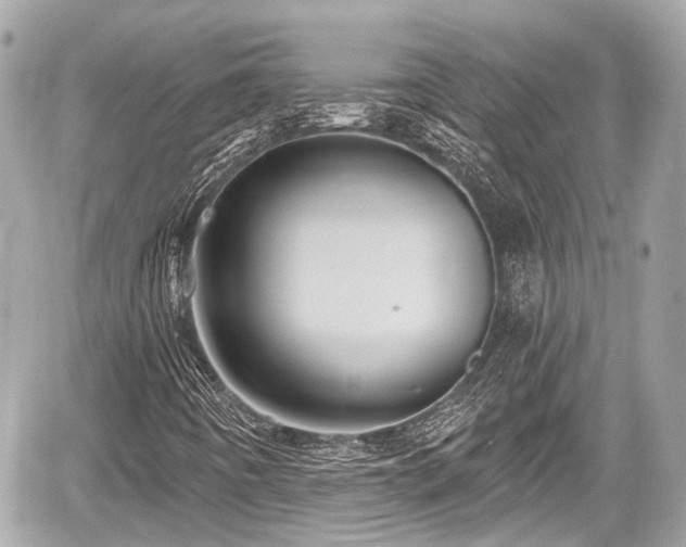 X0000059041442200510100958