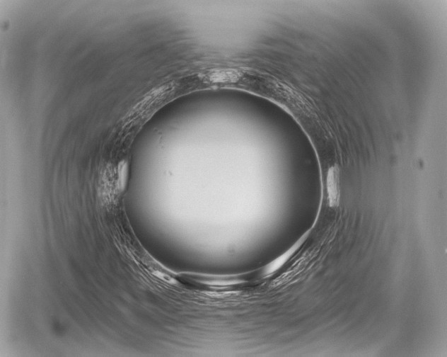 X0000059041443200510100958