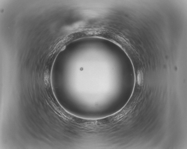 X0000059041444200510100958