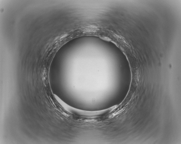 X0000059041445200510100958