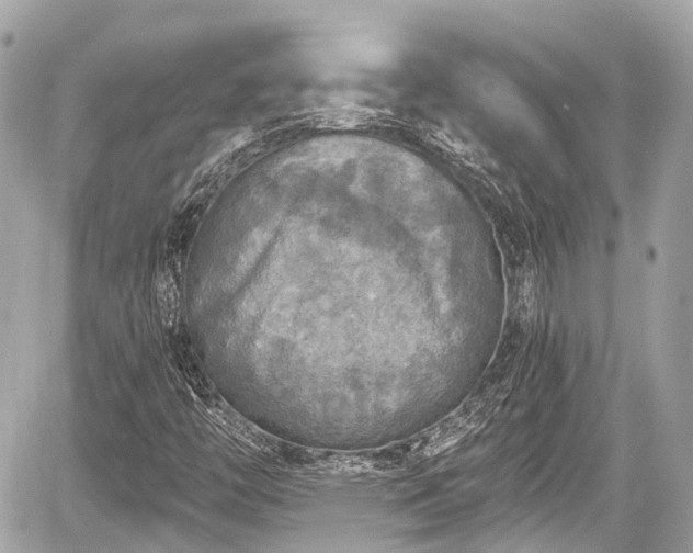 X0000059041446200510100958