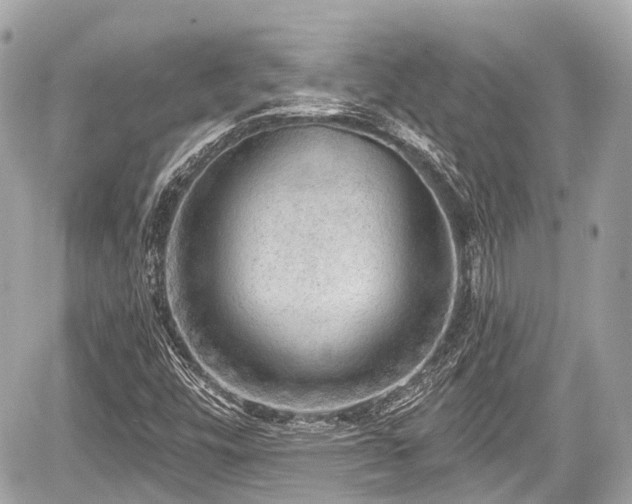 X0000059041448200510100957