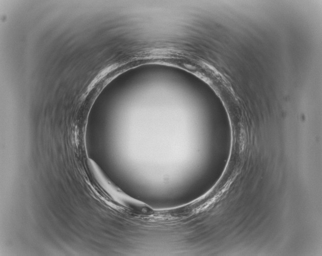 X0000059041449200510100957