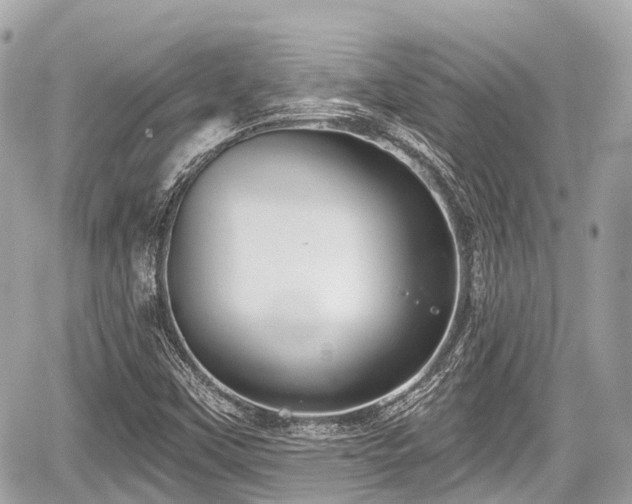 X0000059041451200510100957