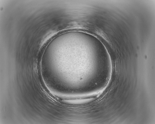 X0000059041452200510100957