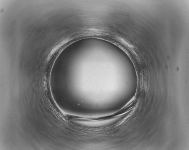 X0000059041453200510100957