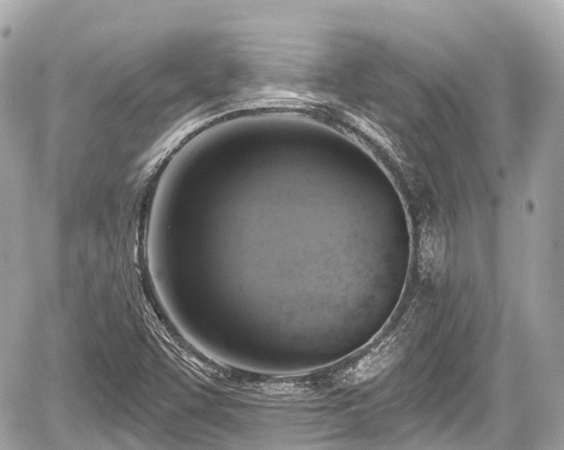 X0000059041455200510100957