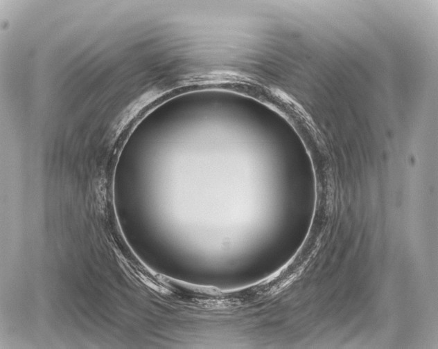 X0000059041457200510100957