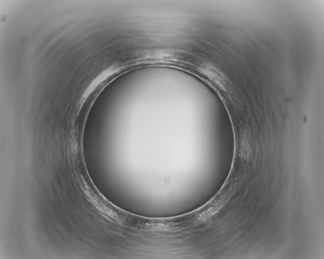 X0000059041458200510100957