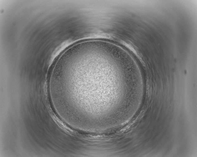 X0000059041460200510100957