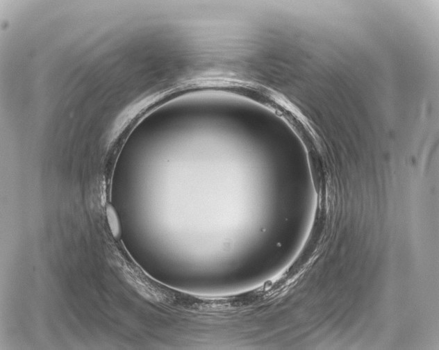 X0000059041461200510100957