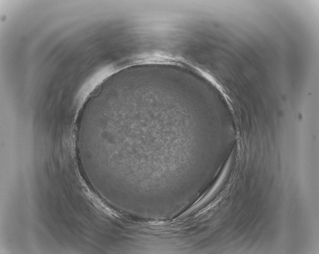 X0000059041463200510100957