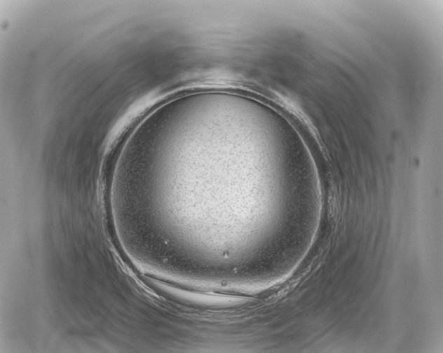 X0000059041464200510100957