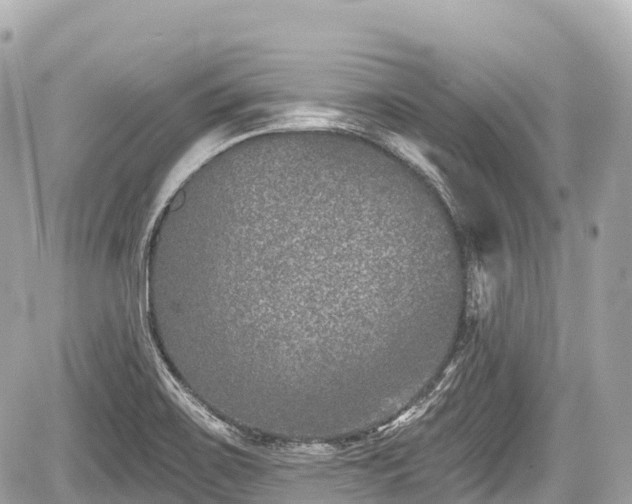 X0000059041467200510100957