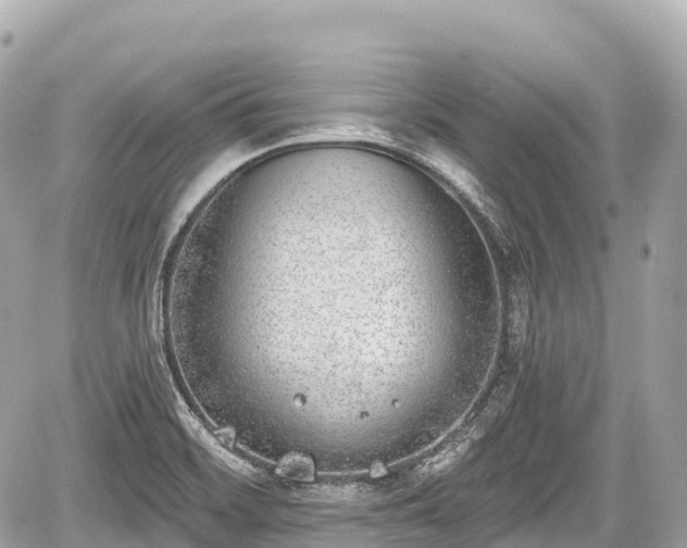 X0000059041468200510100957