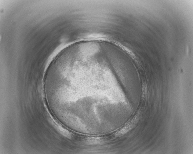 X0000059041470200510100957