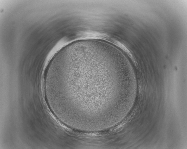 X0000059041472200510100957