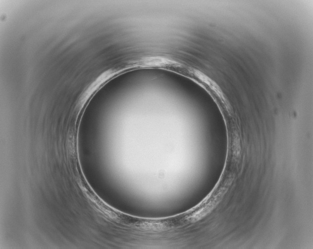 X0000059041473200510100957