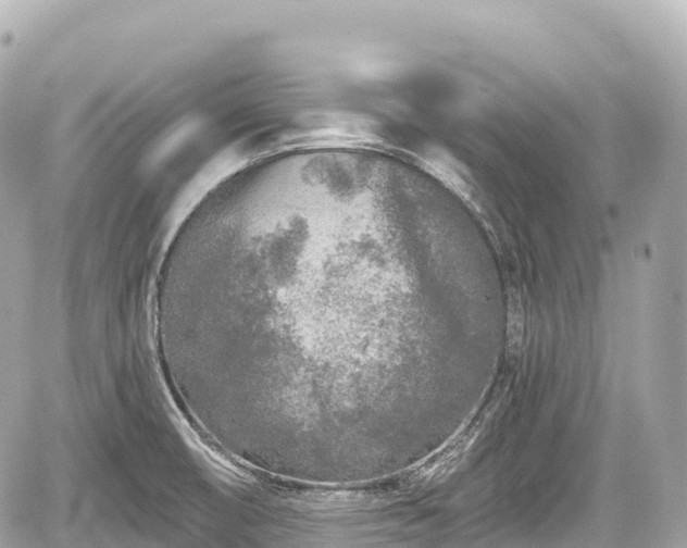 X0000059041474200510100957