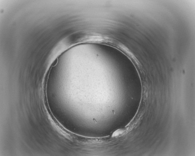 X0000059041475200510100957