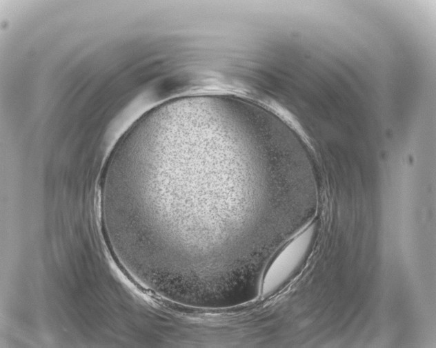 X0000059041476200510100957