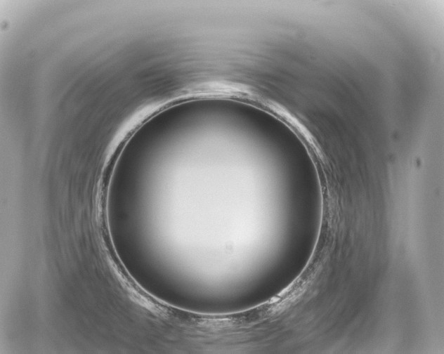 X0000059041477200510100957