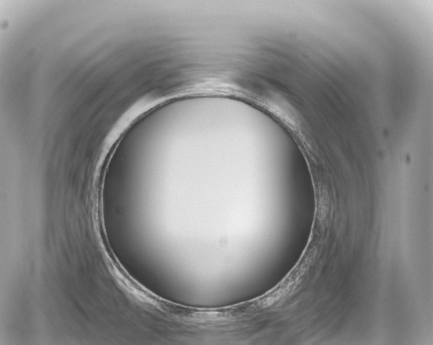 X0000059041478200510100957