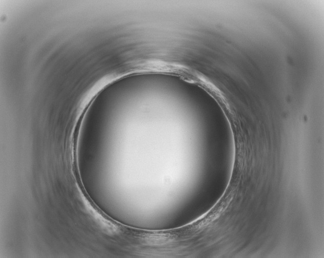 X0000059041479200510100957