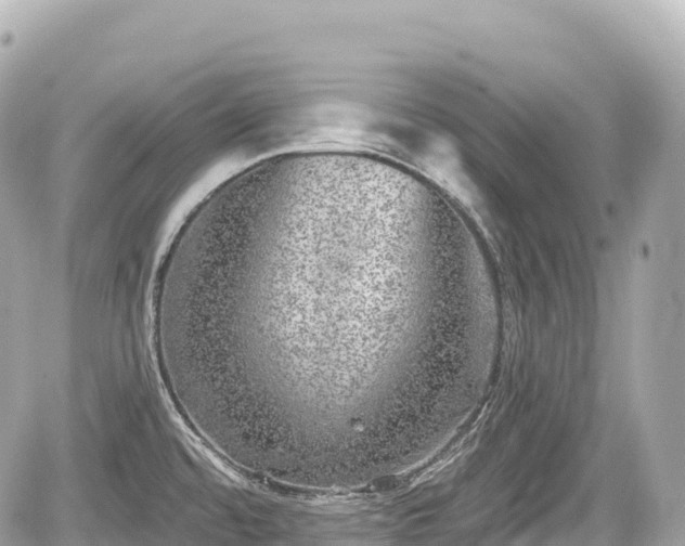 X0000059041480200510100957